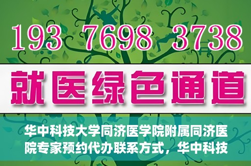 华中科技大学同济医学院附属同济医院专家预约代办联系方式，华中科技大学同济医院专家预约代办服务指南，快速联系专家团队