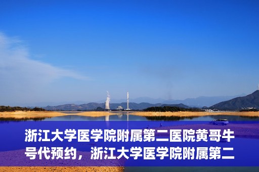 浙江大学医学院附属第二医院黄哥牛号代预约，浙江大学医学院附属第二医院黄哥牛号预约攻略，轻松解决挂号难题