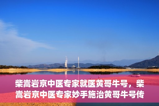 柴嵩岩京中医专家就医黄哥牛号，柴嵩岩京中医专家妙手施治黄哥牛号传奇故事