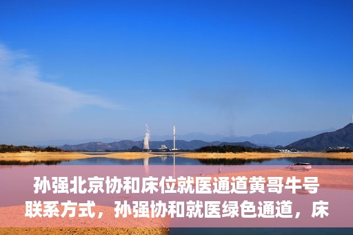 孙强北京协和床位就医通道黄哥牛号联系方式，孙强协和就医绿色通道，床位预约与黄哥牛号联系方式揭秘
