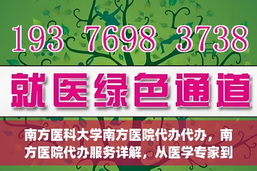 南方医科大学南方医院代办代办，南方医院代办服务详解，从医学专家到您的贴心助手