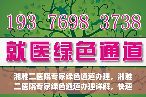 湘雅二医院专家绿色通道办理，湘雅二医院专家绿色通道办理详解，快速就医新途径揭秘