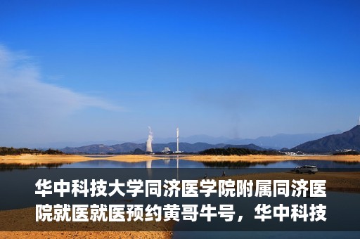 华中科技大学同济医学院附属同济医院就医就医预约黄哥牛号，华中科技大学同济医院就医预约攻略，黄哥牛号引领便捷就医新风尚