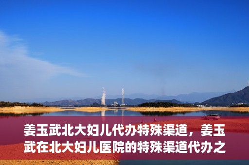 姜玉武北大妇儿代办特殊渠道，姜玉武在北大妇儿医院的特殊渠道代办之路