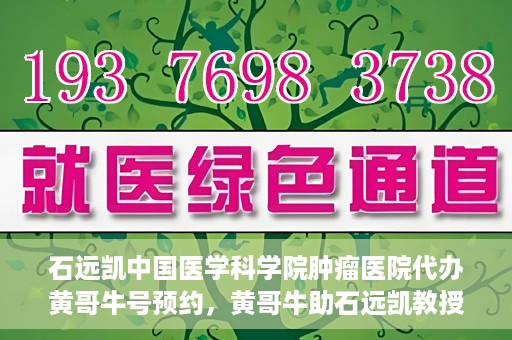 石远凯中国医学科学院肿瘤医院代办黄哥牛号预约，黄哥牛助石远凯教授预约挂号服务启动，中国医学科学院肿瘤医院便捷就医新通道开启