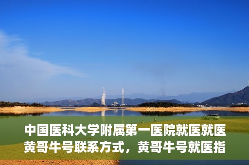 中国医科大学附属第一医院就医就医黄哥牛号联系方式，黄哥牛号就医指南，中国医科大学附属第一医院联系方式揭秘