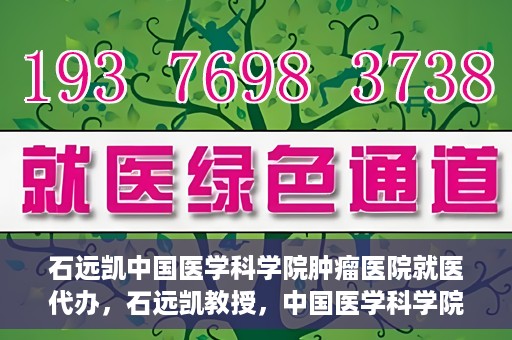 石远凯中国医学科学院肿瘤医院就医代办，石远凯教授，中国医学科学院肿瘤医院就医攻略与代办服务解析