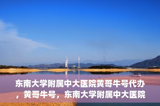 东南大学附属中大医院黄哥牛号代办，黄哥牛号，东南大学附属中大医院的代办之路