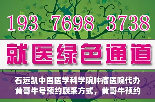石远凯中国医学科学院肿瘤医院代办黄哥牛号预约联系方式，黄哥牛预约挂号联系方式，石远凯教授在中国医学科学院肿瘤医院的服务指南