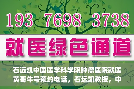石远凯中国医学科学院肿瘤医院就医黄哥牛号预约电话，石远凯教授，中国医学科学院肿瘤医院就医攻略及黄哥牛号预约热线揭秘
