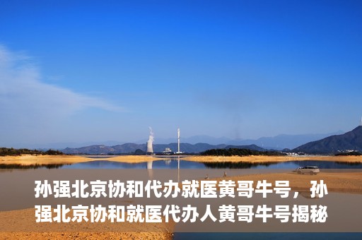 孙强北京协和代办就医黄哥牛号，孙强北京协和就医代办人黄哥牛号揭秘