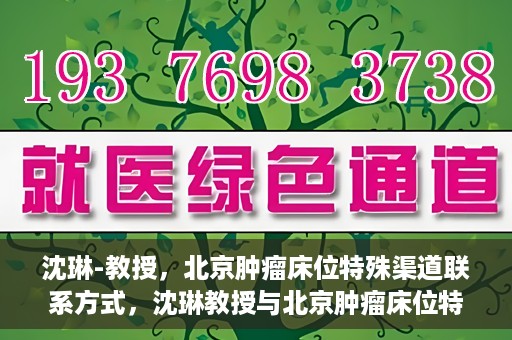 沈琳-教授，北京肿瘤床位特殊渠道联系方式，沈琳教授与北京肿瘤床位特殊渠道，权威解读与联系方式揭秘