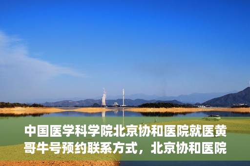 中国医学科学院北京协和医院就医黄哥牛号预约联系方式，北京协和医院黄哥牛号预约挂号联系方式揭秘，权威医学专家预约攻略