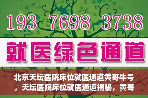 北京天坛医院床位就医通道黄哥牛号，天坛医院床位就医通道揭秘，黄哥牛号助您轻松就医