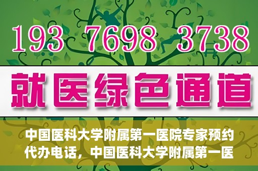 中国医科大学附属第一医院专家预约代办电话，中国医科大学附属第一医院专家预约挂号代办服务热线详解