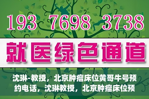 沈琳-教授，北京肿瘤床位黄哥牛号预约电话，沈琳教授，北京肿瘤床位预约热线及黄哥牛号攻略揭秘