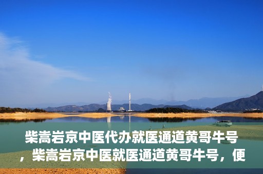 柴嵩岩京中医代办就医通道黄哥牛号，柴嵩岩京中医就医通道黄哥牛号，便捷就医新选择