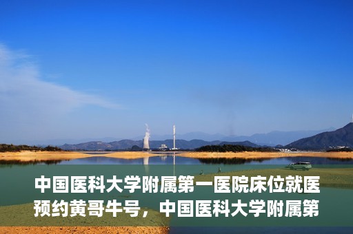 中国医科大学附属第一医院床位就医预约黄哥牛号，中国医科大学附属第一医院床位预约就医攻略，黄哥牛号助您轻松挂号就医