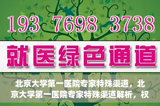 北京大学第一医院专家特殊渠道，北京大学第一医院专家特殊渠道解析，权威医疗资源的独特路径探索