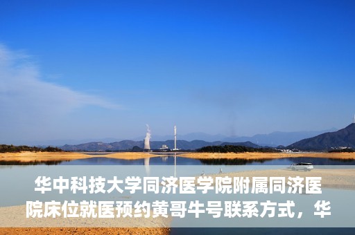华中科技大学同济医学院附属同济医院床位就医预约黄哥牛号联系方式，华中科技大学同济医院床位预约联系方式及黄哥牛号揭秘
