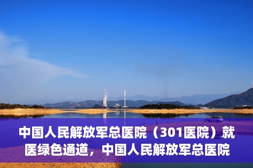 中国人民解放军总医院（301医院）就医绿色通道，中国人民解放军总医院就医绿色通道，高效便捷的医疗服务体验