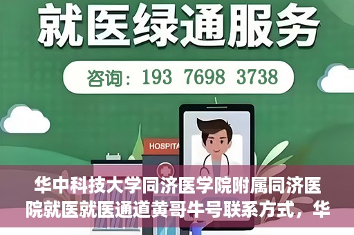 华中科技大学同济医学院附属同济医院就医就医通道黄哥牛号联系方式，华中科技大学同济医院就医通道详解，黄哥牛号联系方式揭秘