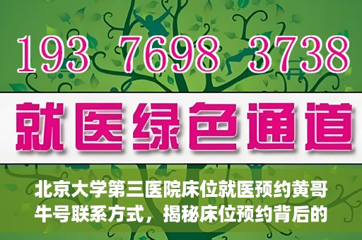 北京大学第三医院床位就医预约黄哥牛号联系方式，揭秘床位预约背后的故事，北京大学第三医院黄哥牛号联系方式曝光