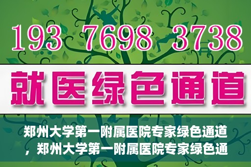郑州大学第一附属医院专家绿色通道，郑州大学第一附属医院专家绿色通道，高效就医体验，专业医疗服务的守护者