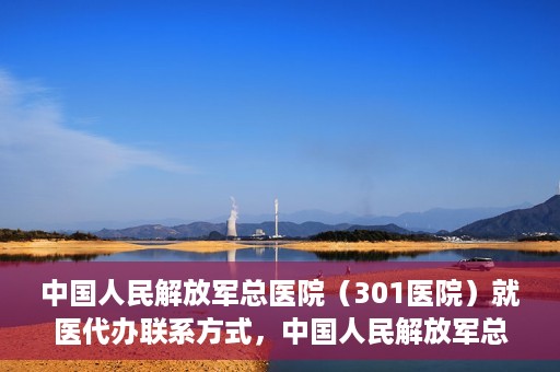 中国人民解放军总医院（301医院）就医代办联系方式，中国人民解放军总医院（301医院）就医代办服务指南与联系方式解读