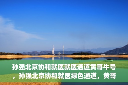 孙强北京协和就医就医通道黄哥牛号，孙强北京协和就医绿色通道，黄哥牛号助您轻松挂号就医
