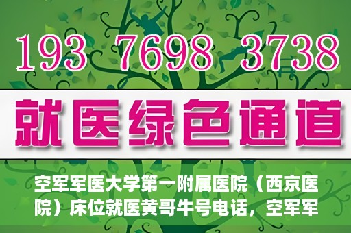 空军军医大学第一附属医院（西京医院）床位就医黄哥牛号电话，空军军医大学第一附属医院（西京医院）床位就医咨询黄哥牛号电话揭秘