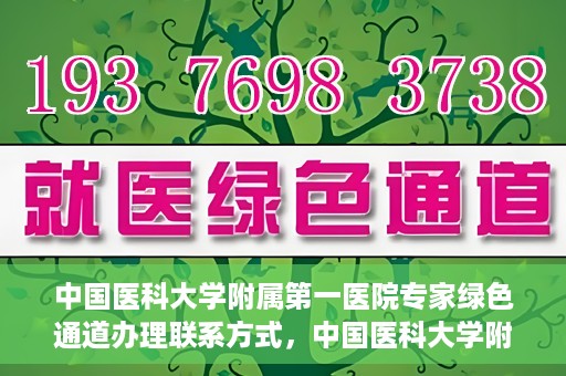 中国医科大学附属第一医院专家绿色通道办理联系方式，中国医科大学附属第一医院专家绿色通道联系指南，一站式解决您的健康需求！