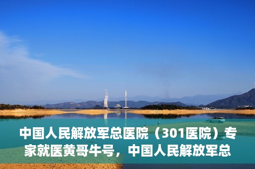 中国人民解放军总医院（301医院）专家就医黄哥牛号，中国人民解放军总医院（301医院）黄哥牛号专家就医解析