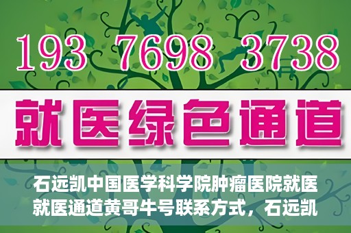 石远凯中国医学科学院肿瘤医院就医就医通道黄哥牛号联系方式，石远凯领衔的中国医学科学院肿瘤医院就医通道，黄哥牛号联系方式全解析