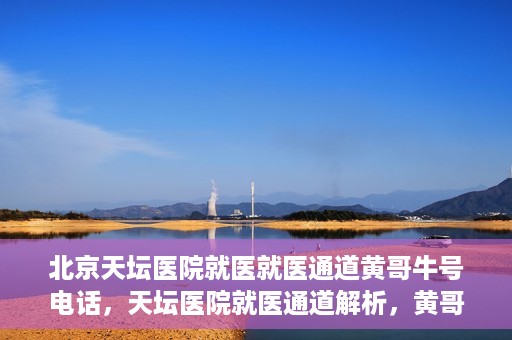 北京天坛医院就医就医通道黄哥牛号电话，天坛医院就医通道解析，黄哥牛号电话背后的就医故事