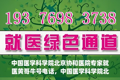 中国医学科学院北京协和医院专家就医黄哥牛号电话，中国医学科学院北京协和医院专家就医热线，黄哥牛号电话揭秘