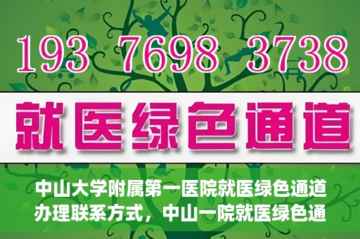 中山大学附属第一医院就医绿色通道办理联系方式，中山一院就医绿色通道办理指南，快速获取联系方式与流程解析