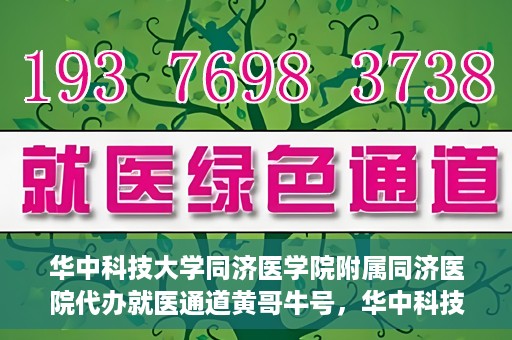 华中科技大学同济医学院附属同济医院代办就医通道黄哥牛号，华中科技大学同济医院就医通道代办服务，黄哥牛号助您轻松就医