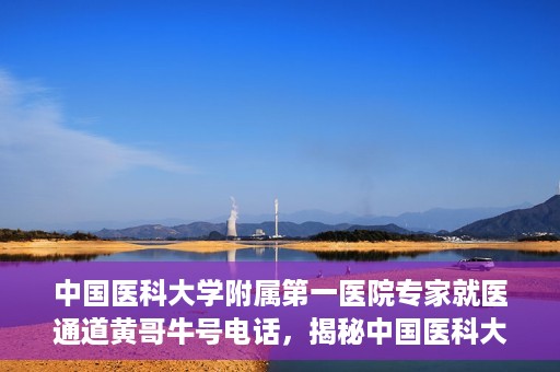 中国医科大学附属第一医院专家就医通道黄哥牛号电话，揭秘中国医科大学附属第一医院专家就医通道，黄哥牛号电话专线揭秘