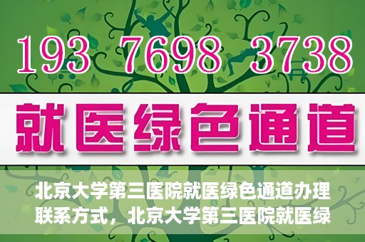 北京大学第三医院就医绿色通道办理联系方式，北京大学第三医院就医绿色通道办理指南，快速联系方式与办理流程解析