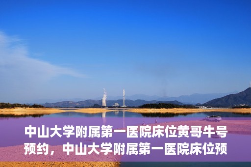 中山大学附属第一医院床位黄哥牛号预约，中山大学附属第一医院床位预约攻略，黄哥牛号预约详解