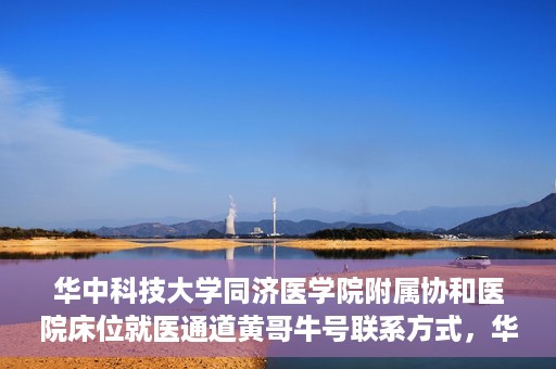 华中科技大学同济医学院附属协和医院床位就医通道黄哥牛号联系方式，华中科技大学同济医学院附属协和医院床位就医通道详解，黄哥牛号联系方式揭秘