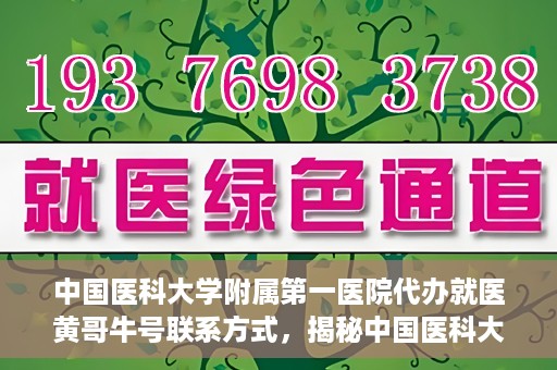 中国医科大学附属第一医院代办就医黄哥牛号联系方式，揭秘中国医科大学附属第一医院代办就医联系人黄哥牛号联系方式，专业服务的背后故事