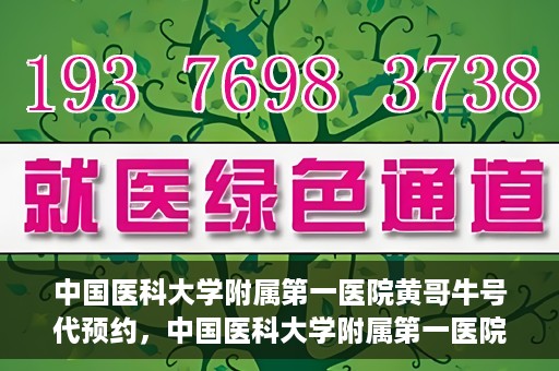 中国医科大学附属第一医院黄哥牛号代预约，中国医科大学附属第一医院黄哥牛号预约服务详解