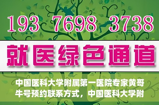 中国医科大学附属第一医院专家黄哥牛号预约联系方式，中国医科大学附属第一医院黄哥牛专家号预约联系方式及指南
