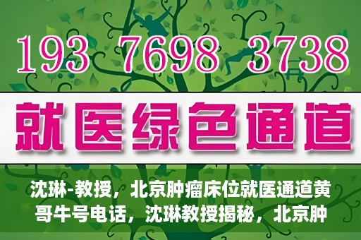 沈琳-教授，北京肿瘤床位就医通道黄哥牛号电话，沈琳教授揭秘，北京肿瘤床位就医通道与黄哥牛号电话的权威解读