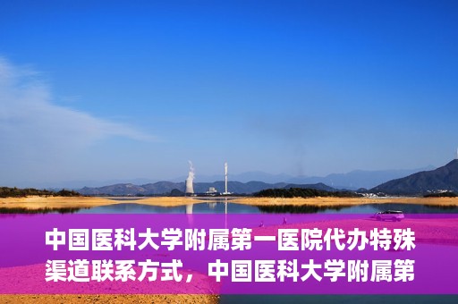 中国医科大学附属第一医院代办特殊渠道联系方式，中国医科大学附属第一医院特殊渠道联系方式揭秘
