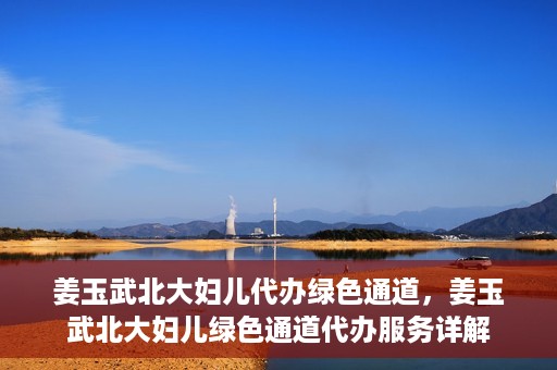 姜玉武北大妇儿代办绿色通道，姜玉武北大妇儿绿色通道代办服务详解