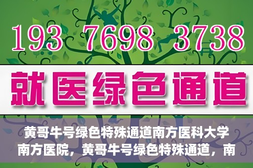 黄哥牛号绿色特殊通道南方医科大学南方医院，黄哥牛号绿色特殊通道，南方医科大学南方医院的探索与实践