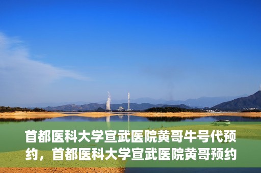 首都医科大学宣武医院黄哥牛号代预约，首都医科大学宣武医院黄哥预约代挂号服务解析